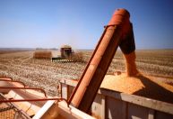 CNA estima aumento de 5% do PIB do agronegócio em 2025