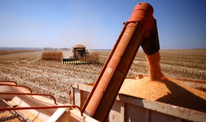 CNA estima aumento de 5% do PIB do agronegócio em 2025