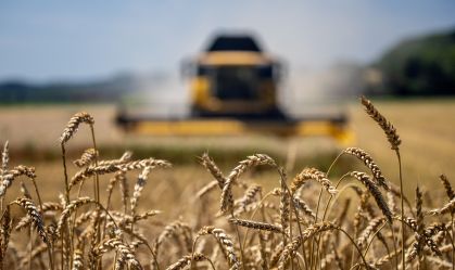 Preços mundiais dos alimentos têm leve queda em agosto, diz FAO