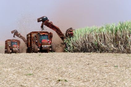 Colheitadeiras em plantação de cana-de-açúcar