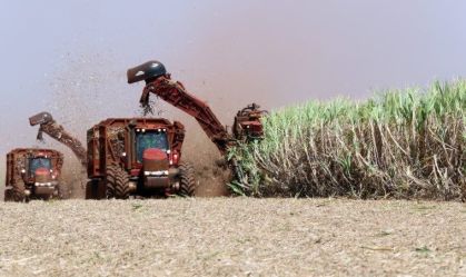Incêndios em canaviais aumentam pressão sobre açúcar no Brasil
