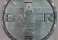 Ações da Bayer caem ao nível mais baixo em 20 anos com previsão de queda nos lucros em 2025