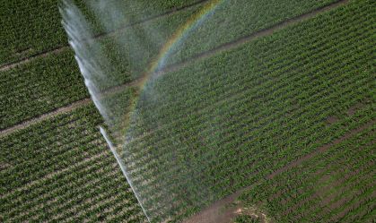 Programa de regeneração ambiental reduz emissão de carbono na agricultura