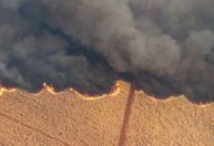 Incêndios em SP: ministro e secretário da Agricultura falam em ação criminosa