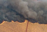 Incêndios podem ter afetado mais de 11 milhões de pessoas no Brasil