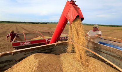 Importações de soja do Brasil pela China caem 22,2% em abril ante 2024