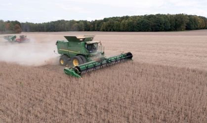Plantio de soja 24/25 no Brasil atinge 91% da área, aponta AgRural