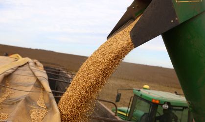 StoneX reduz estimativas de safras de soja e milho do Brasil