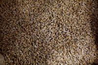 Preços mundiais dos alimentos caem com açúcar compensando alta da carne