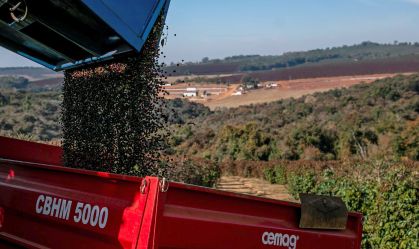 Exportações de café batem recorde, apesar de problemas logísticos, diz entidade