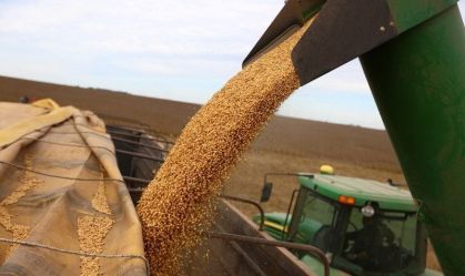 Conab eleva previsões para safras 24/25 de soja e milho do Brasil