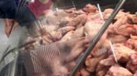 Entenda como governo tenta reverter restrições ao frango brasileiro