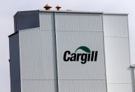 Cargill tem prejuízo contábil de R$ 1,7 bi em 2024 por variação cambial