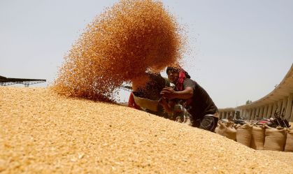 Preços mundiais dos alimentos diminuem em julho com pressão de cereais, diz ONU