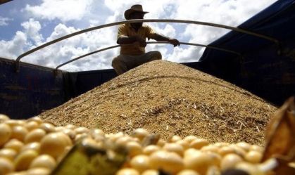 Colheita de soja do Brasil avança para 9%, diz AgRural