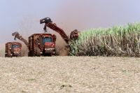 Copersucar amplia em 21,4% vendas externas de açúcar na safra 2024/25