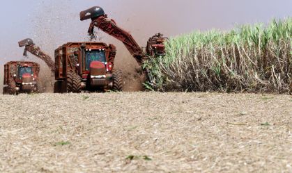 Seguro rural: SP investe R$ 290 milhões e tem maior aporte feito por estado