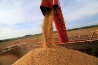 Plano Safra 2025/26 prevê R$ 188,5 bi em LCAs, alvo de taxação do governo