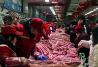 Exportação de suínos bate recorde em janeiro