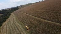 Agro americano endurece com Brasil e pede firmeza a Trump