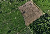 Rejeição de movimentos ao TFFF amplia dificuldades do governo na COP