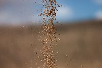 Empresa chinesa assina acordos agrícolas avaliados em US$ 5,2 bilhões