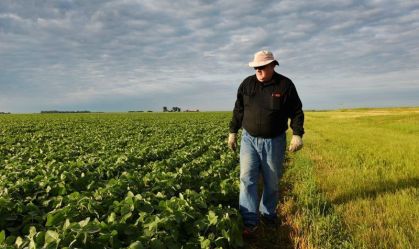 China amplia compras de soja dos EUA com pelo menos mais quatro cargas