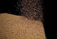 Exportação do agro do Brasil cresce 6,2% em novembro e bate recorde no ano