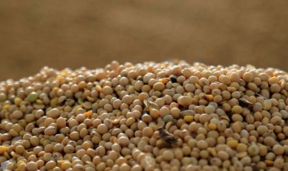 Agro avança 12,2% no 1º trimestre de 2025 e puxa crescimento do PIB