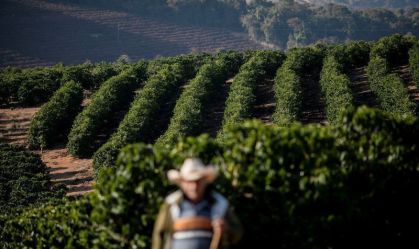 Governo indica a setores que pode comprar café, frutas e pescados tarifados