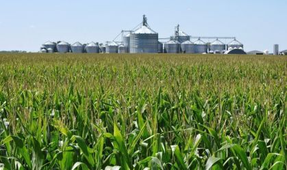 Brasil pode ser protagonista na produção de etanol de milho