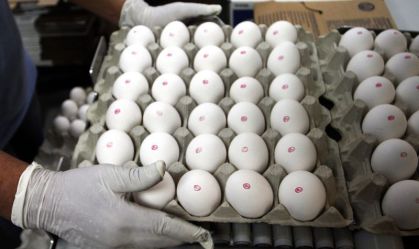 Mantiqueira está começando projetos nos EUA após venda de fatia para JBS