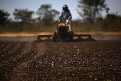 Trabalhador usa uma máquina para espalhar cerejas de café para secagem em uma fazenda próxima a Brasília, Brasil