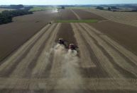 Lavoro obtém apoio para plano de reestruturação extrajudicial no Brasil