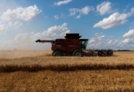 USDA considera auxílio para agricultores com impasse comercial dos EUA