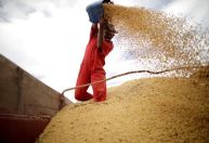 Chinesa Cofco fecha compras bilionárias de soja do Brasil e óleo de palma