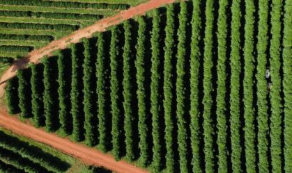 Legisladores dos EUA apresentarão projeto para eliminar tarifas sobre café
