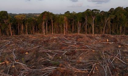 União Europeia pede adiamento de lei sobre desmatamento