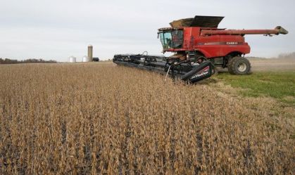 Safra de soja do Rio Grande do Sul se desenvolve bem, aponta Emater