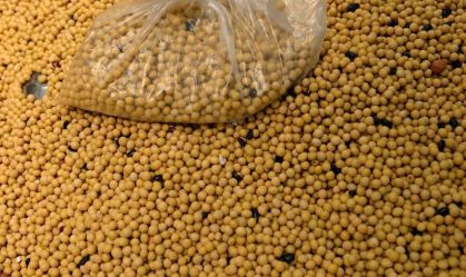 Soja amplia ganhos com otimismo em relação à demanda da China