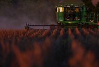 Safra 2025 deve bater recorde, com 341,9 milhões de toneladas, diz IBGE