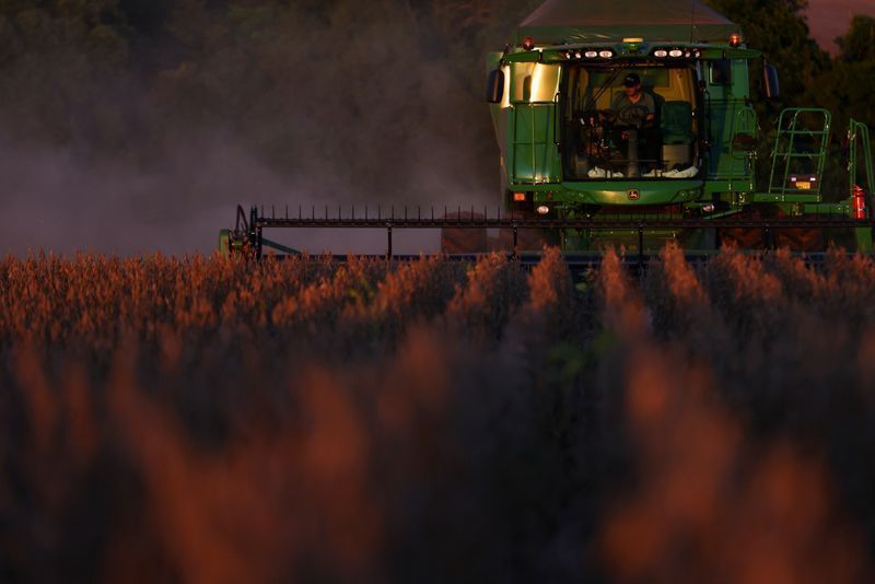 Safra 2025 deve bater recorde, com 341,9 milhões de toneladas, diz IBGE