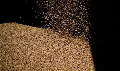 Exportação de soja do Brasil bate recorde anual com demanda chinesa