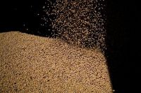 Exportação de soja do Brasil bate recorde anual com demanda chinesa