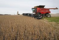 Plantio de soja no Brasil atinge 23,27% da área, diz Pátria AgroNegócios