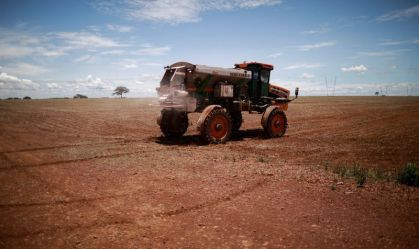 Trator espalha fertilizante em um campo de soja, perto de
