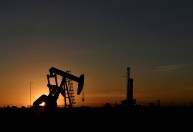 Indústria fóssil supera países em representantes na COP26, diz relatório