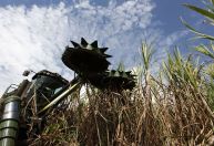 IGP-DI acelera alta em maio com impulso de commodities e combustíveis, diz FGV