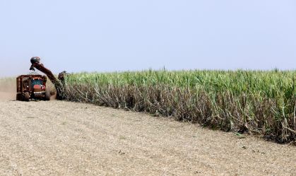Governo defende ampliar parceria com Vietnã na produção de biocombustíveis