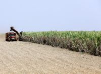 "Etanol não pode ser tratado como moeda de troca em negociações", diz setor